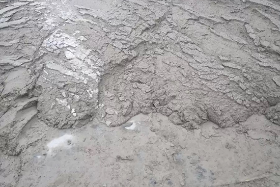 银河广东贵宾会